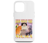 Cat Erm, What The Sigma? Meme divertente Umorismo ironico specifico Custodia per iPhone 13 Pro Max