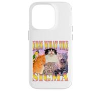Cat Erm, What The Sigma? Meme divertente Umorismo ironico specifico Custodia per iPhone 14 Pro