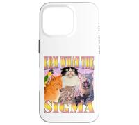 Cat Erm, What The Sigma? Meme divertente Umorismo ironico specifico Custodia per iPhone 16 Pro