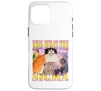 Cat Erm, What The Sigma? Meme divertente Umorismo ironico specifico Custodia per iPhone 16 Pro Max