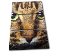 Cat Face Eyes Cute Pet Tabby Animals TREBLE TELA parete arte foto stampa