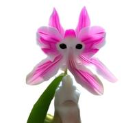 Cat Face Orchidee Samen Seltene Orchidee Mehrjährige Blumen Samen Nicht-Gvo Duft Orchidee Samen Anziehen Kolibriden Schmetterlinge für Innenbalkon Garten im Freien io 200 pezzi