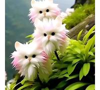 Cat Face Orchidees Samen Seltene Orchidee Mehrjährige Blumen Samens Nicht-Gvo Duft Orchidee Samen Anziehen Kolibriden Schmetterlinge für Innenbalkon Garten im Freien D 200 pezzi