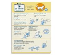 Cat First Aid Poster Choking CPR
