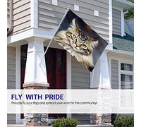 Cat Flag 3x5 FT Cute Animal Kitten Cats Furry Face with Grey Feather Black Yellow Eyes Outdoor Flags Large Welcome Yard Banners Home Garden Yard Lawn Decor
