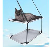 Cat Letto Montato Finestra Sole Letto Conservatorio Della Parete Amaca