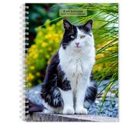 Cat Lovers 2026 6 x 7.75 Inch Spiral-Bound Wire-O Weekly Engagement Planner Ca