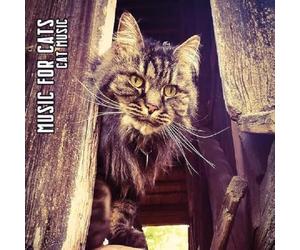cat music (limited edition)