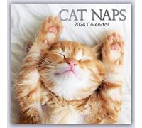 Cat Naps - Gatti sognanti 2024 - Agenda mensile originale Gifted Stationery [Multilingue]