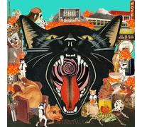 Cat Out Of Hell