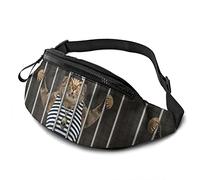 Cat Pirate In Prison Fashion