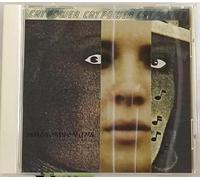 Cat Power - What Would The Community Think [Import]