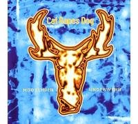 Cat Rapes Dog Moosehair Underwear (CD)
