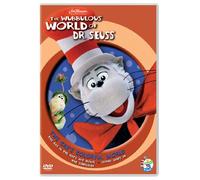 Cat S Colorful World