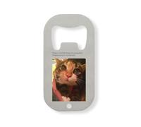 Cat sees Christmas Lights for The First Time Funny Meme apribottiglie in acciaio inox argento
