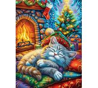 Cat Sleeping by The Fireplace Rompicapo 1000 Pezzi Per Adulti Anziani Magical Accompany Fairy Tale Cartone Di Alta Qualità Esercizio Mentale Cognitivo Per Riunioni Familiari Garanzia Di Qualità Italia