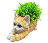 Cat-themed Miniature Design: The indoor cat flower pot combines utility with aesthetic appeal, offering cat lovers a charming way to display plants while celebrating their affection for felines,