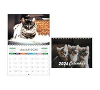 Cat Wall Calendar, 2026 Monthly Planner, 12 Month Feline Organizer, Thick Paper Scheduling Tool, 11.22 x 8.46 x 0.31 Inches, Perfect for Desk, Bedroom, Kitchen, School, Apartment, Hotel Planning