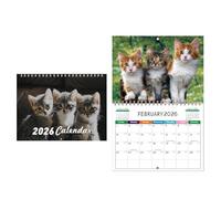 Cat Wall Calendar, 2026 Monthly Planner, 12 Month Thick Paper Organizer, Perfect For Home Office School Desk Bedroom Living Room Kitchen Apartment Or Hotel, 11.22 X 8.46 X 0.31 In