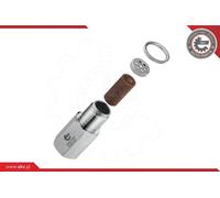 Catalizzatore 09SKV998 ESEN SKV