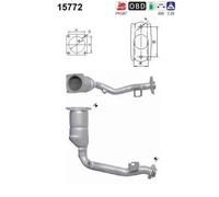 AS 15772 Catalizzatore