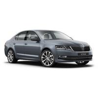 Catalizzatore 200 CPSI sostituzione OPF / GPF Ragazzon Skoda OCTAVIA MK4 1.4 TSI