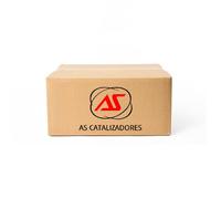 Catalizzatore 37874 AS