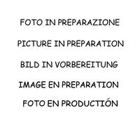 Catalizzatore Gr.N tubo elimina FAP Focus II (typ DA3) 05>10 1.6 TDci (80Kw) 10