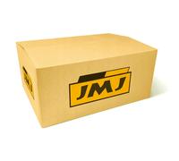 Catalizzatore JMJ1091654 JMJ