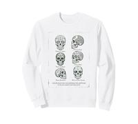 Catalogo de Calaveras de zuccheras guía de Campo Naturalista Felpa