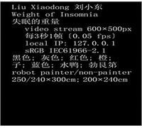 Catalogue: - Liu Xiaodong: Weight of Insomnia.