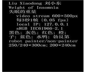 Catalogue: - Liu Xiaodong: Weight of Insomnia.