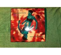 Catch the fire (1991) / Vinyl Maxi Single [Vinyl 12'']