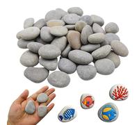 CATELL 25 Pezzi Pietre Piatte da Dipingere, 3-5 cm Rocce Naturali di Disegno Sassi da Dipingere con Superficie Liscia e Piana Dipingere i Ciottoli per Pittura Fai da Te Acquario e Giardino