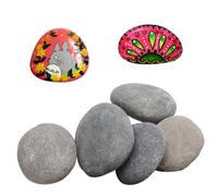 CATELL 5 Pezzi Pietre Piatte da Dipingere, 8-12 cm Rocce Naturali di Disegno Sassi da Dipingere con Superficie Liscia e Piana, Dipingere i Ciottoli per Pittura Fai da Te Acquario e Giardino