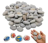 CATELL 50 Pezzi Pietre Piatte da Dipingere, Rocce Naturali di Disegno Sassi da Dipingere con Superficie Liscia e Piana, Dipingere i Ciottoli per Pittura Fai da Te Acquario e Giardino