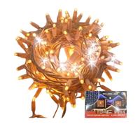 Catena 10 metri Luminosa 100 LED 10 FLASH luci Natale addobbi per esterno ip44 [EEK: A+++]