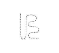 Catena Campagnolo Super Record 12 velocit Ultra Link nera 114 maglie