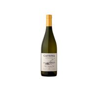 Catena Chardonnay 2025