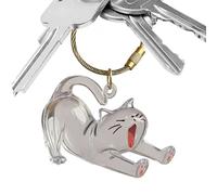 Catena Chiave Per Capelli Per Cani - Keepsake Keyring, Ciondolo Acrilico | Accessorio Per Gioielli Commemorativi, Porta Emergenti Chiari Per Donne Con Zaino Borse Borse Collezione, Regalo Per La