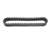 Catena con custodia di trasferimento compatibile con catena ML Classe 250 a 42 perni A2512800900