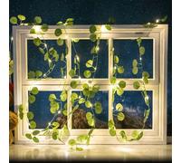 Catena decorata con foglie di eucalipto a energia solare 50 Led 5 metri Bianco caldo Aigostar