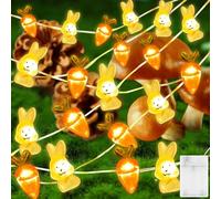 Catena di Luci Pasquali, 2M 20 LED Lucine di Pasqua con Coniglietto e Carota, Catena Luminosa Pasquale Coniglio, Pasqua Luci Interno, Lucine LED DecorativePasqua, per Feste, Giardino, Interni, Estern