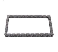 Catena di trasmissione della pompa olio SWAG 33 10 4268 per XF II (X260) 2 2015-