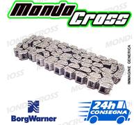Catena distribuzione BORGWARNER BETA RR 390 2020 (20)