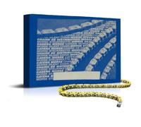 CATENA DISTRIBUZIONE C221 MOTO GUZZI 850 T3 E DERIVATI 850 1979 1985