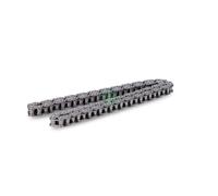 INA 553 0275 10 Catena di distribuzione
