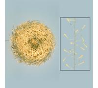 Catena festone FTLG 2200 MiniLED controller 15 funzioni marca LOTTI IMPORTEX