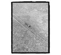 Catena Fine Maglia Serpente Argento Massiccio 925 Rodio Taglie 42CM/45CM