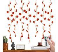 Catena Leggera Autunnale, Catena Leggera Foglia Di Acero USB Con Timer | Ambience Illuminazione Con Telecomando Per Il Ringraziamento Halloween A Casa Fuori Dalla Zona Camera Da Letto Country House Ga